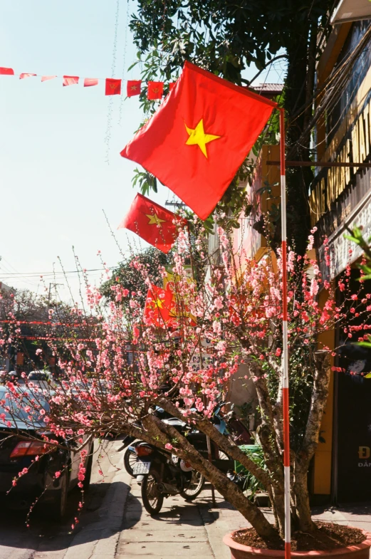 a car parked on the side of a street next to a tree, inspired by Cui Bai, happening, flags, vietnamese temple scene, celestial red flowers vibe, square