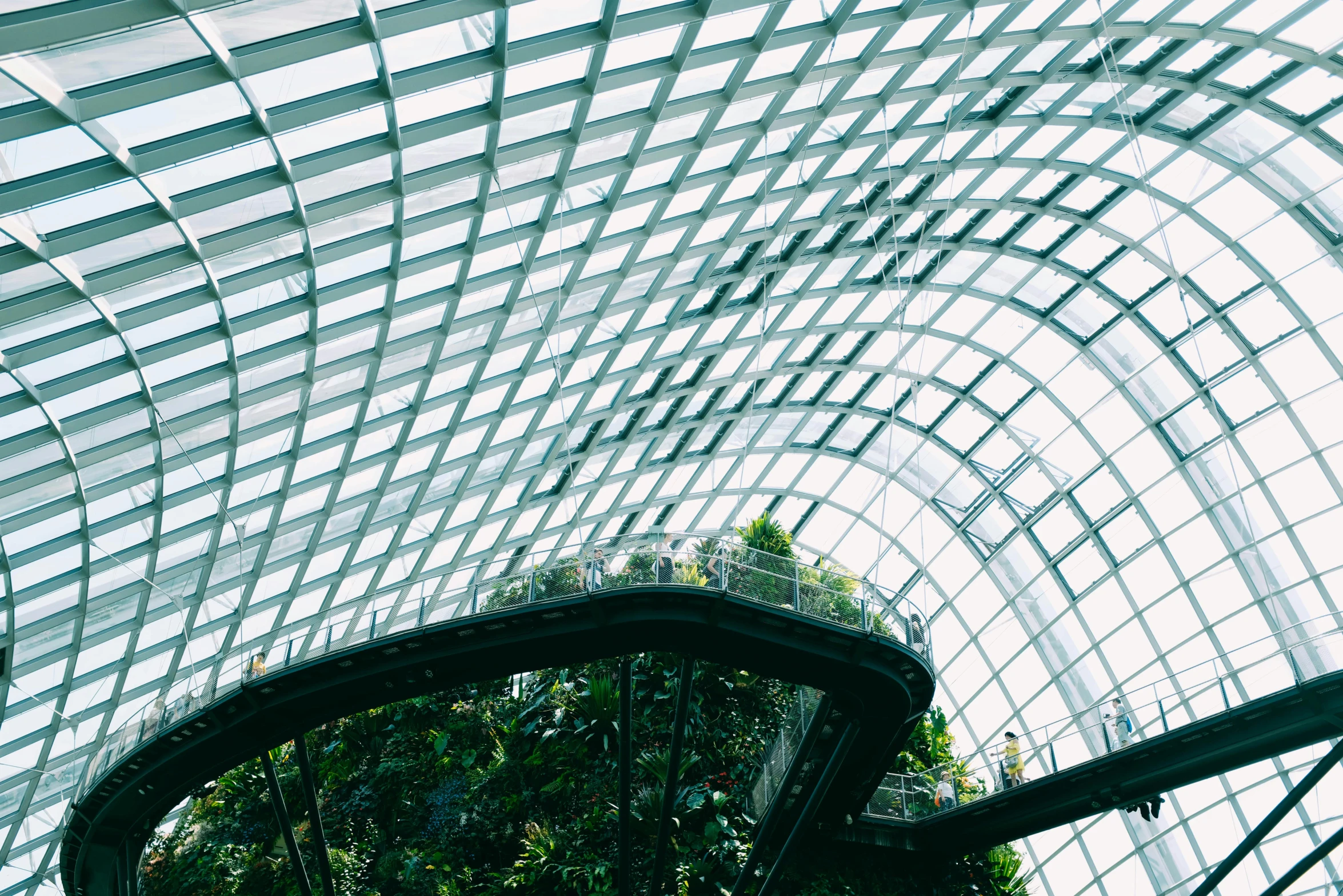 a picture of the inside of a building, pexels contest winner, cloud forest, rounded roof, parks, 🎨🖌️