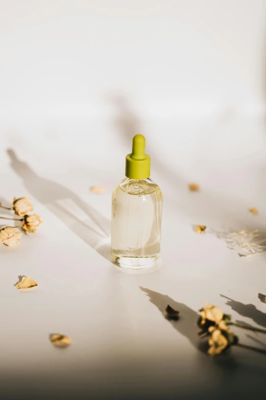 a bottle of perfume sitting on top of a table, organic shape, thumbnail, cream white background, resin