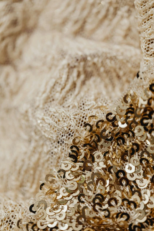 a close up of a dress with sequins on it, an album cover, inspired by Marià Fortuny, trending on unsplash, baroque, beige and gold tones, dressed in a frilly ((lace)), detail, excitement