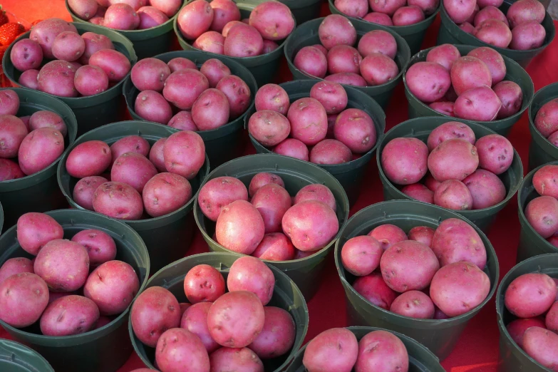 a table topped with buckets of red potatoes, a portrait, by Robert Thomas, pexels, square, vibrant pink, puffy, greens