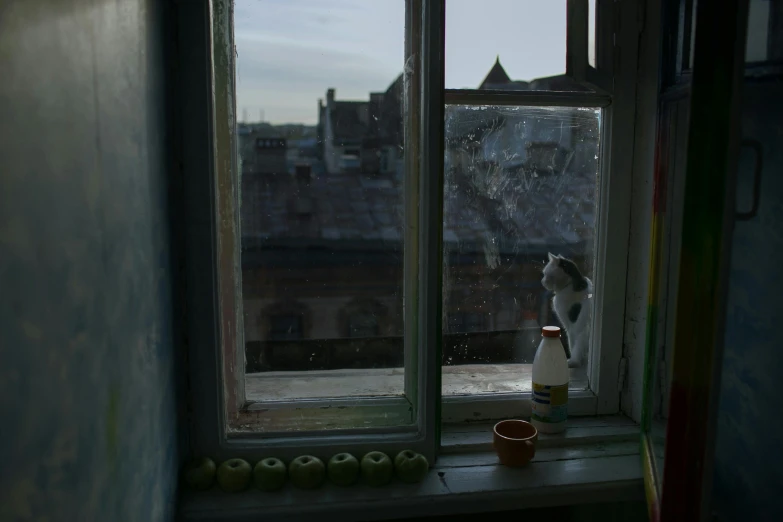 a white vase sitting on top of a window sill, a picture, inspired by Elsa Bleda, cat drinking milk, norilsk, still from film, apartment of an art student