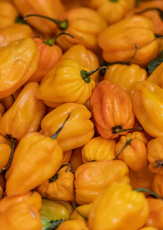 a pile of yellow peppers sitting on top of each other, trinidad scorpion, bao pnan, medium - shot, orange balaclava