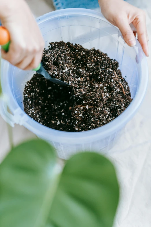 a close up of a person scooping dirt into a bowl, large potted plant, softglow, mix, 1 6 x 1 6