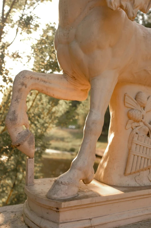 a close up of a statue of a horse, a marble sculpture, inspired by Gian Lorenzo Bernini, renaissance, taken at golden hour, ram antlers, carved into the side of a tree, from italica