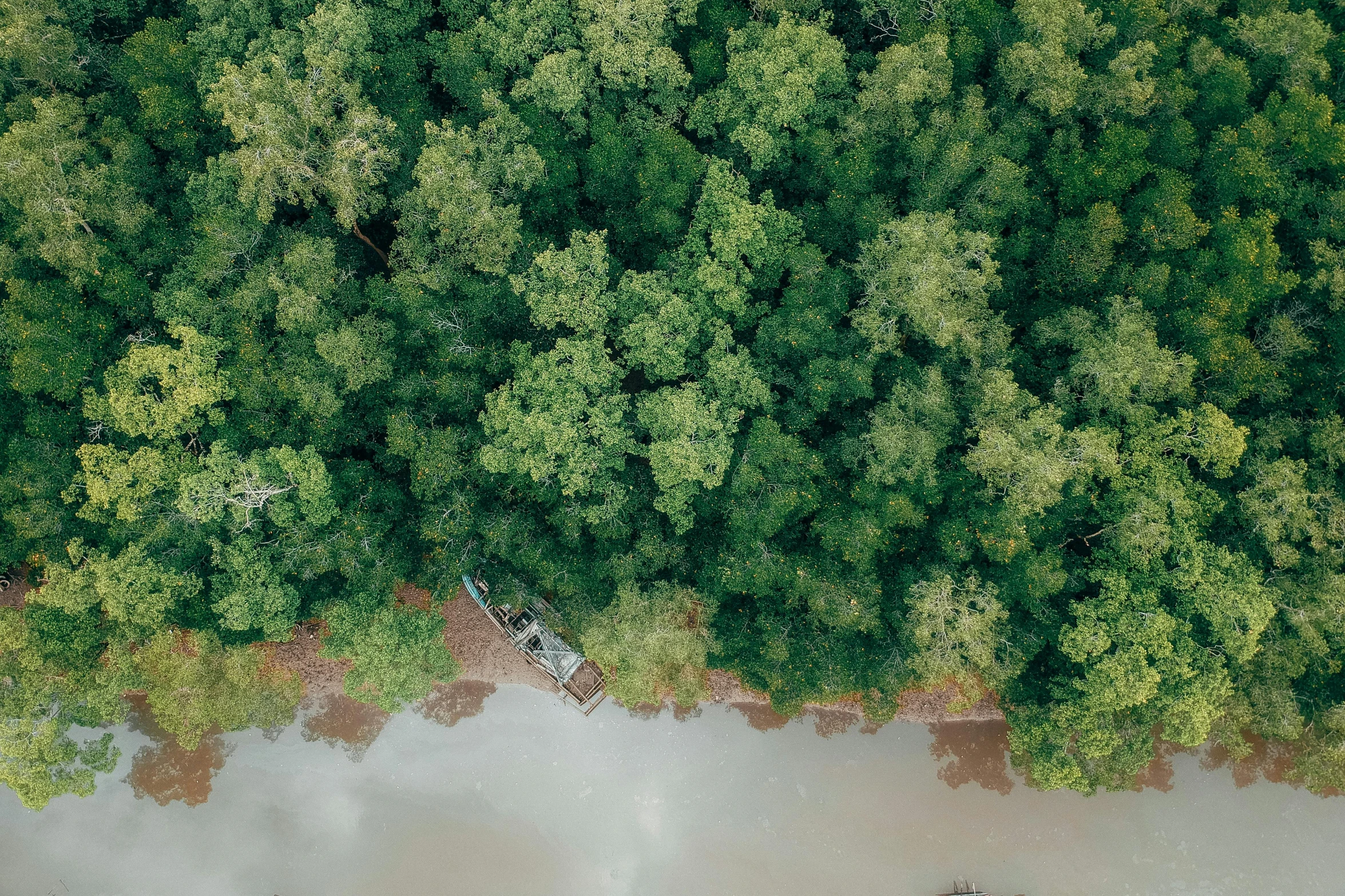 a boat sitting on top of a river next to a forest, by Carey Morris, pexels contest winner, hurufiyya, flat lay, jungle clearing, ultra detailed trees, an film still