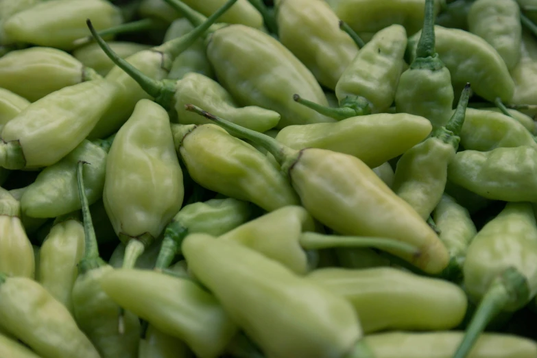 a pile of green peppers sitting on top of each other, hurufiyya, very pale, subtle detailing, light green, thumbnail