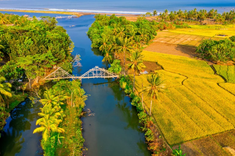 a river running through a lush green field, by Daniel Lieske, pexels contest winner, sumatraism, with kerala motifs, bridge over the water, blue and yellow color theme, near the beach