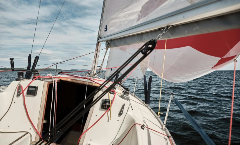 a close up of a sail boat on a body of water, finnstark, action shot, thumbnail, ready to eat