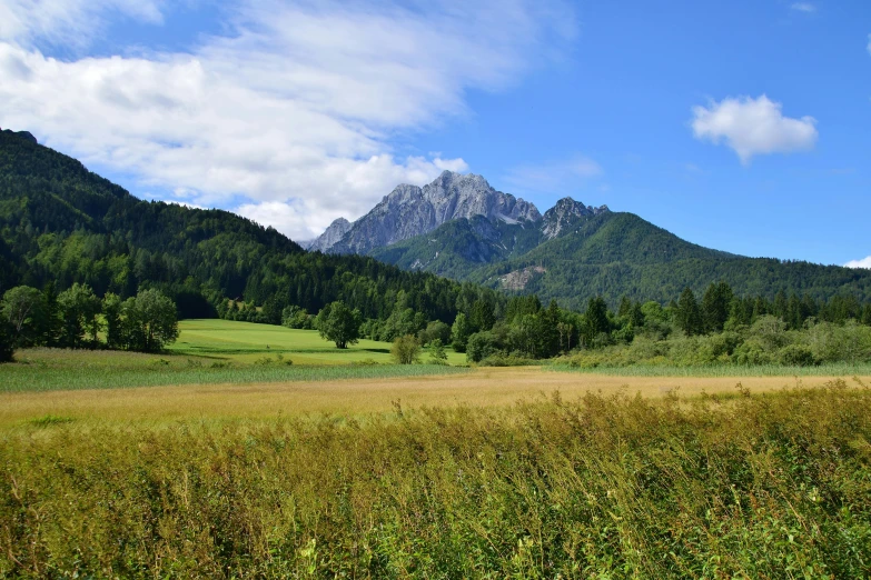 a grassy field with mountains in the background, by Jozef Simmler, unsplash, avatar image, instagram post, slovenian, profile image