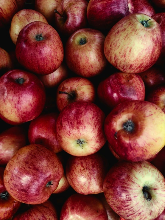 a pile of red apples sitting on top of each other, by Robert Thomas, slide show, panel, travel, 8 l