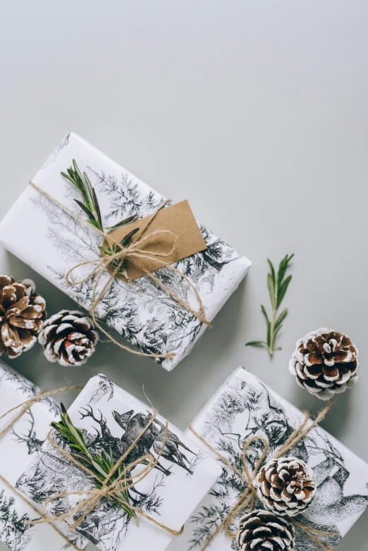 three wrapped presents with pine cones and twine, by Eden Box, pexels contest winner, happening, porcelain organic tissue, black-and-white, herbs, pattern