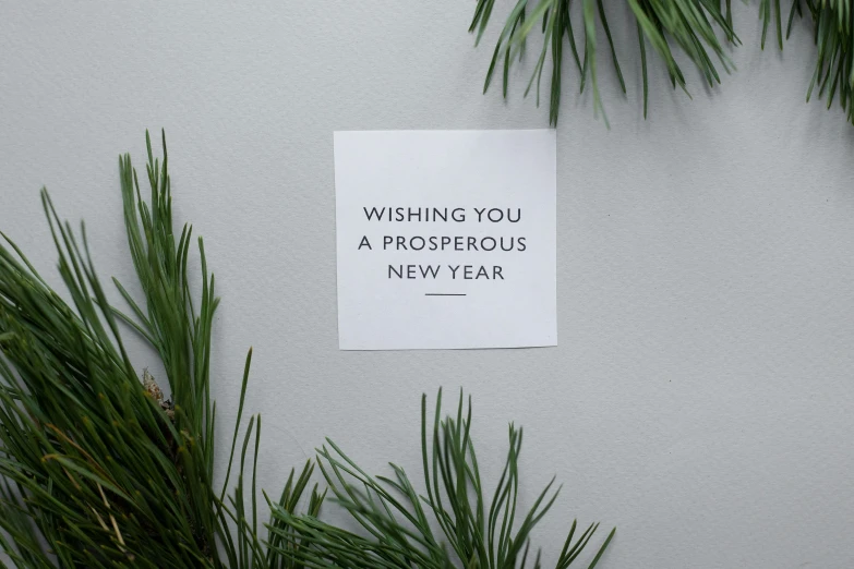 a sign that says wishing you a prosperous new year, unsplash, square sticker, white, postcard, alessio albi