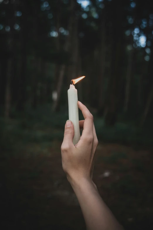 a person holding a lit candle in a forest, with a long white, profile image