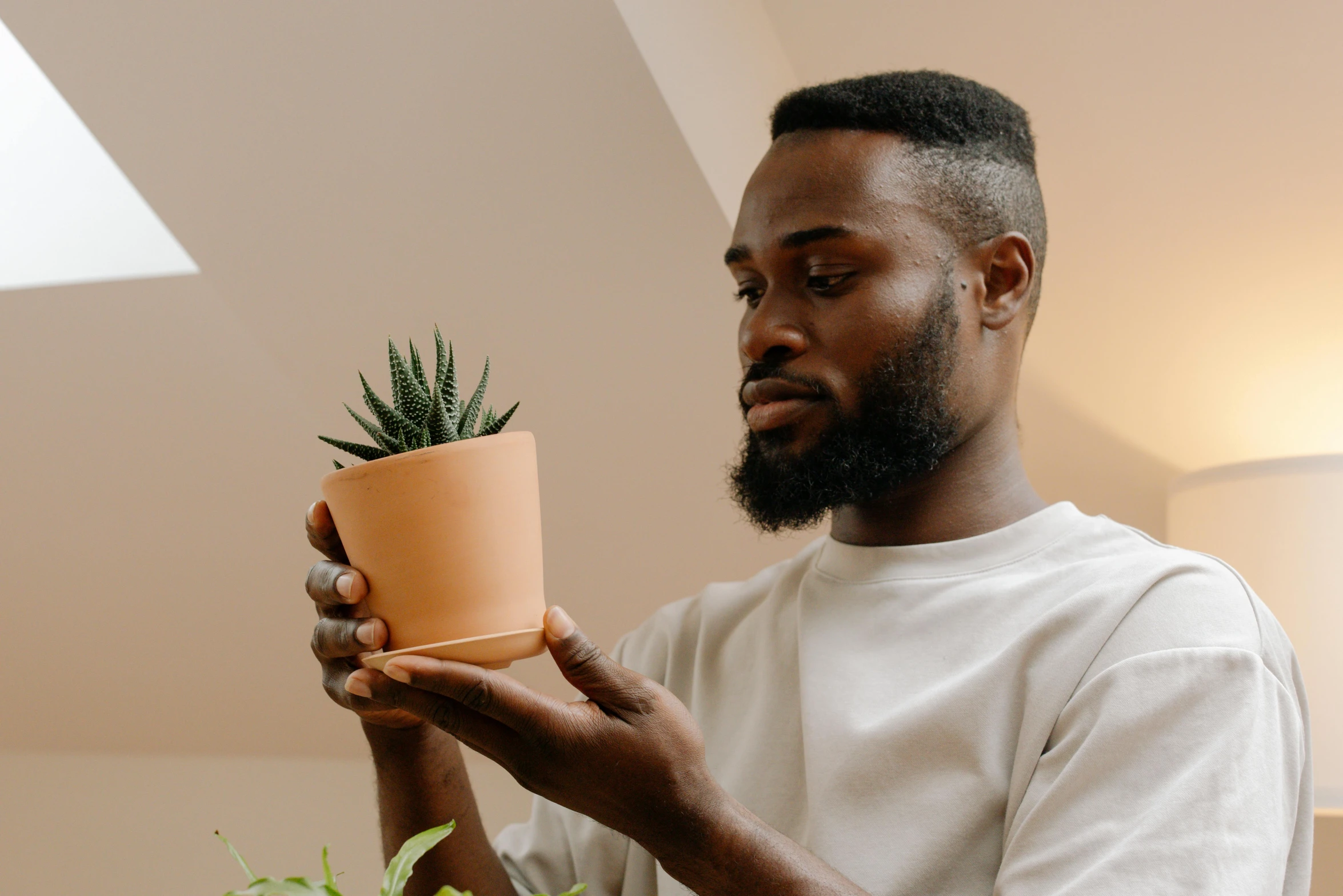 a man holding a potted plant in his hands, by Carey Morris, pexels contest winner, black man, avatar image, attractive male, ceramics