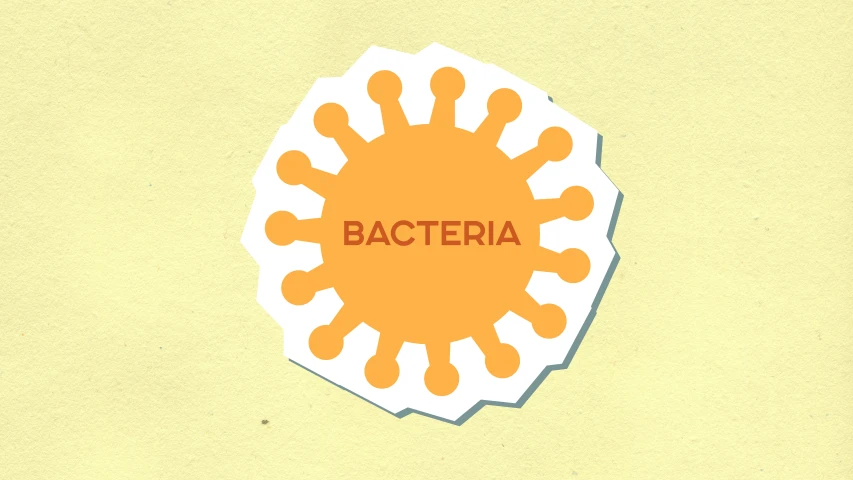 a piece of paper with the word bacteria on it, an album cover, the sun is shining, telegram sticker design, from italica, profile image