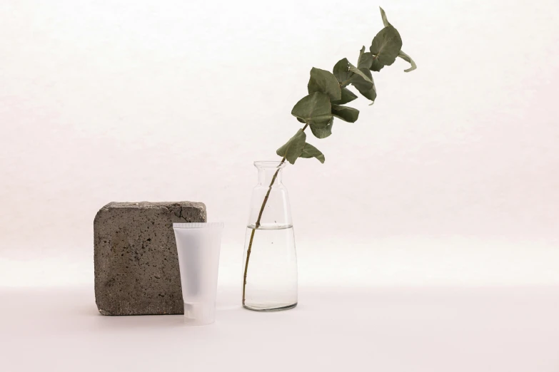 a close up of a vase with a plant in it, a still life, inspired by Isamu Noguchi, unsplash, minimalism, concrete steel glass, various posed, made of lab tissue, stone brick