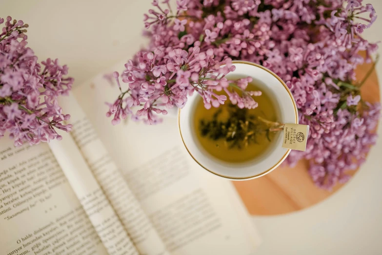 a cup of tea sitting on top of an open book, pexels contest winner, lilacs, thumbnail, low quality photo, ad image