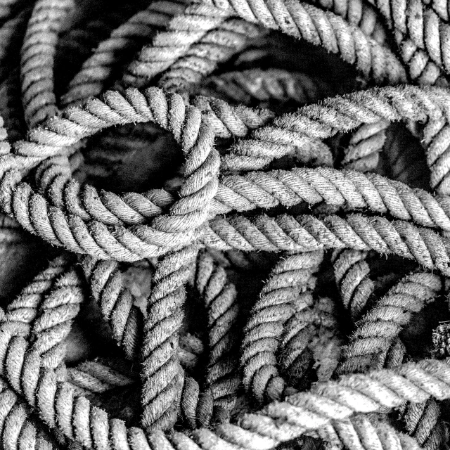a black and white photo of a pile of rope, a black and white photo, inspired by Edward Weston, pexels, fine art print, intricate!!, moored, intricately defined