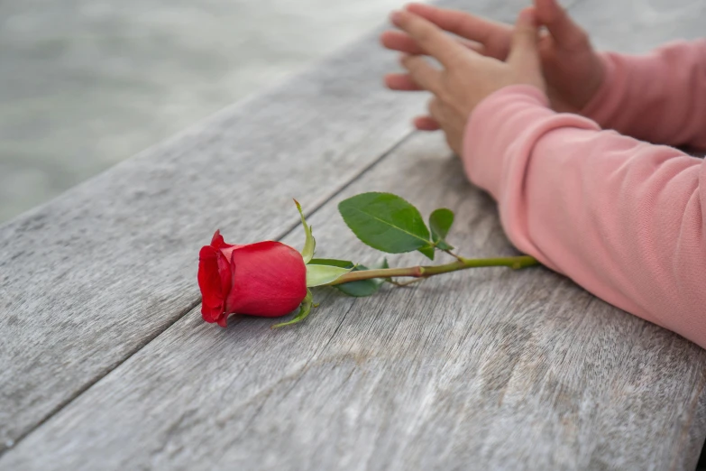 a red rose sitting on top of a wooden table, by Julian Allen, pexels contest winner, romanticism, holding hand, near a jetty, lying down, anjali mudra