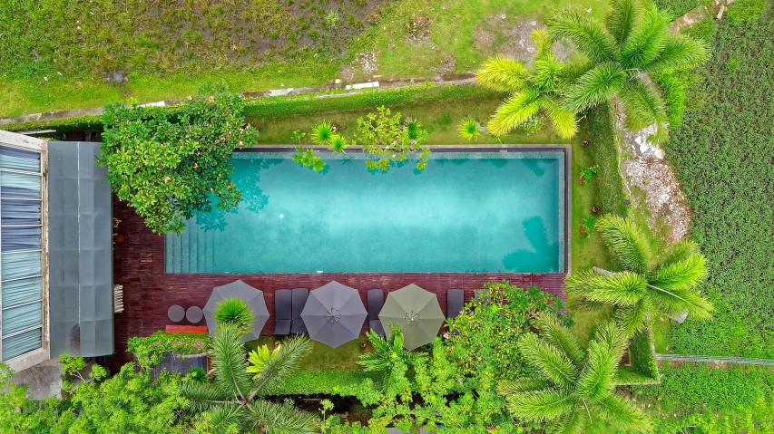 an aerial view of a pool surrounded by trees, by Aya Goda, lush vista, peaceful ambience, eye level view, vibrant green