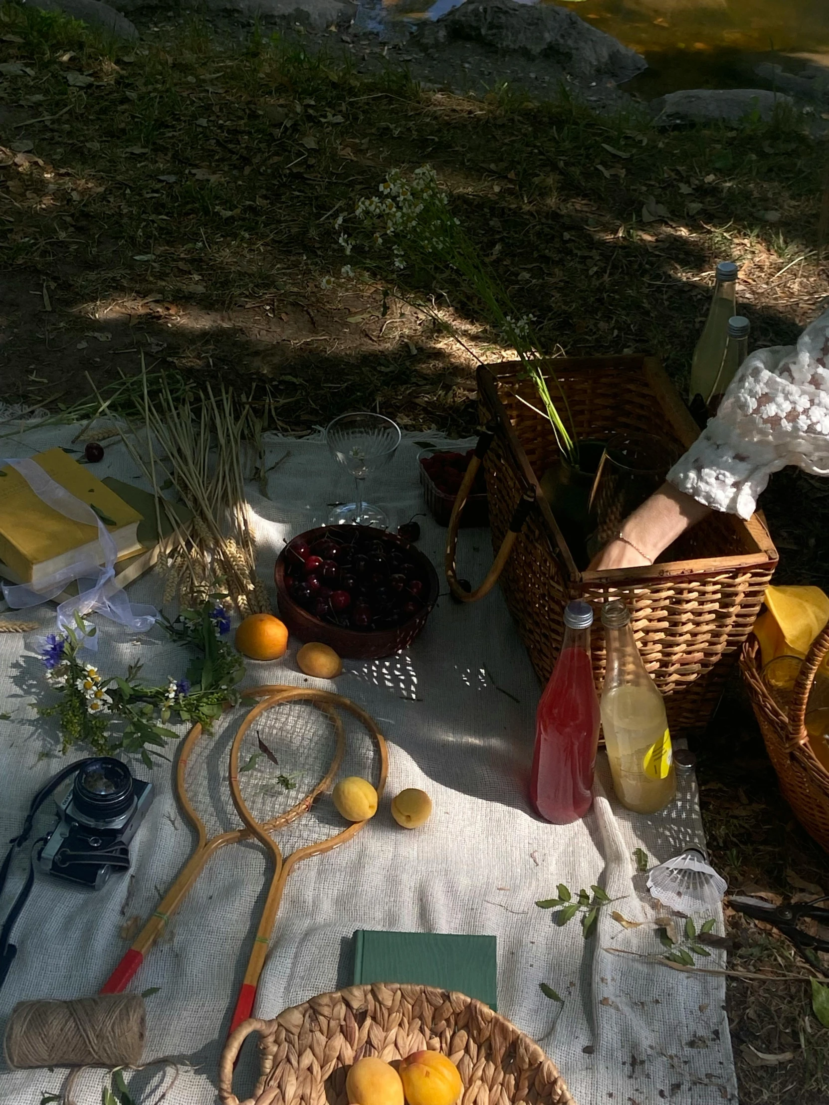 a picnic set up in the shade of a tree, inspired by Konstantin Somov, unsplash, process art, harvest, low quality photo, album, found objects