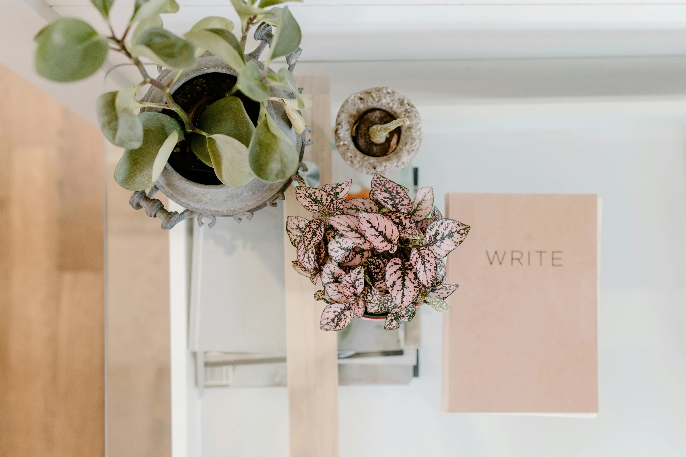 a book sitting on top of a table next to a plant, by Dulah Marie Evans, trending on pexels, visual art, white wall coloured workshop, brown and pink color scheme, writing a letter, ivory and copper