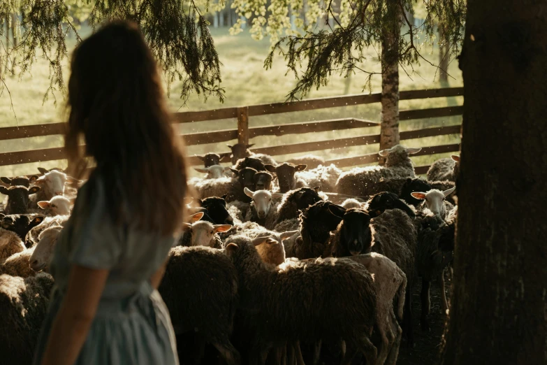 a woman standing in front of a herd of sheep, by Emma Andijewska, pexels contest winner, romanticism, view from the back, cottagecore, afternoon light, ready to eat