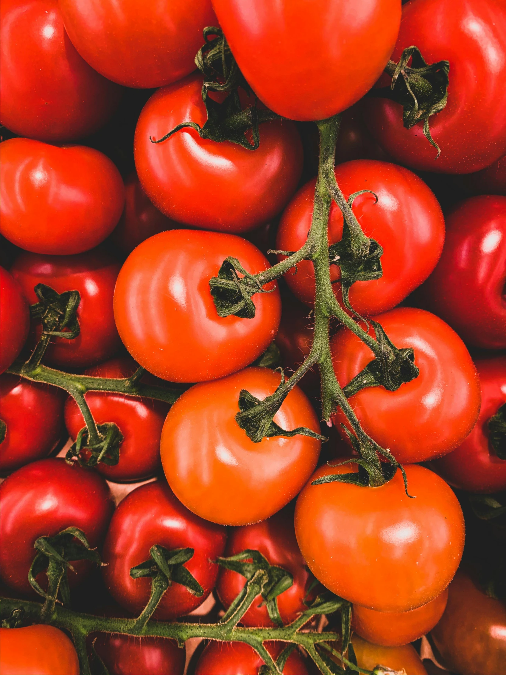 a pile of tomatoes sitting on top of each other, profile image, thumbnail, local foods, up-close