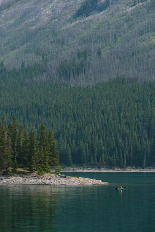 a large body of water surrounded by trees, hurufiyya, banff national park, sup, telephoto shot, fishing