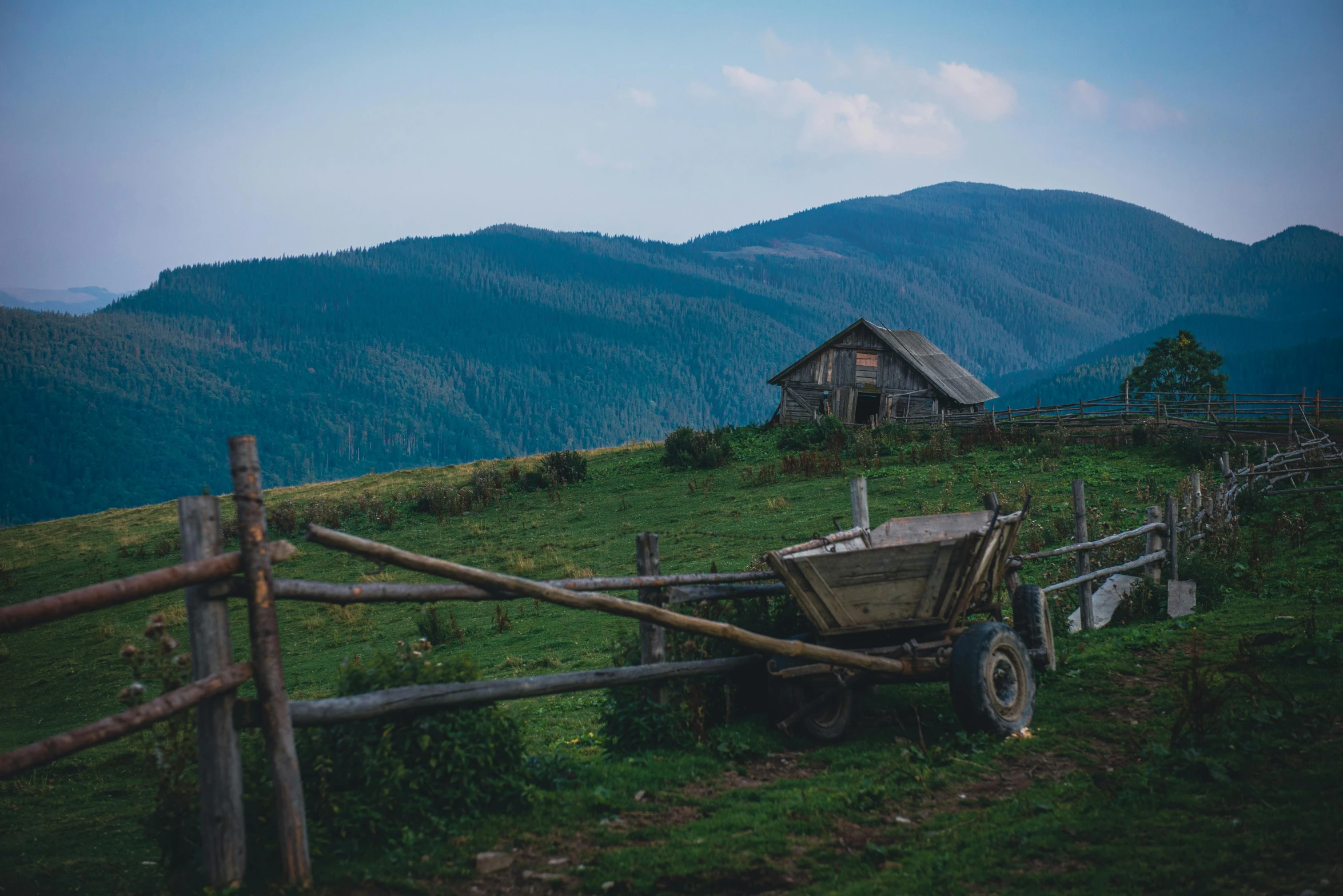 a wooden wagon sitting on top of a lush green hillside, by Alexander Bogen, pexels contest winner, russian village, profile image, 90s photo