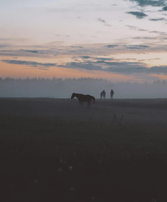 a couple of horses that are standing in the grass, by Attila Meszlenyi, unsplash contest winner, people walking into the horizon, moody hazy lighting, on a desolate plain, dusk