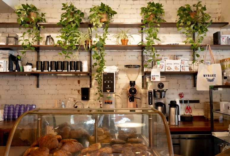 a bakery filled with lots of baked goods, inspired by Richmond Barthé, hanging vines, android coffee shop, brown, plants