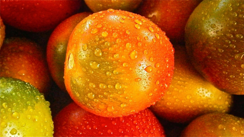 a close up of a bunch of fruit with water droplets, a digital rendering, by Jon Coffelt, pixabay, tom hanks tomato face, vibrant but dreary orange, 5 feet away, misty and wet
