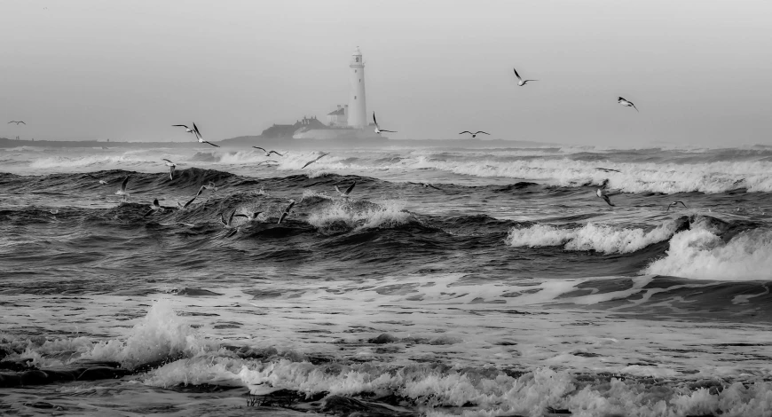 a black and white photo of a lighthouse surrounded by seagulls, by Kev Walker, water mists, 8 k photo, photographic print, hdr photo