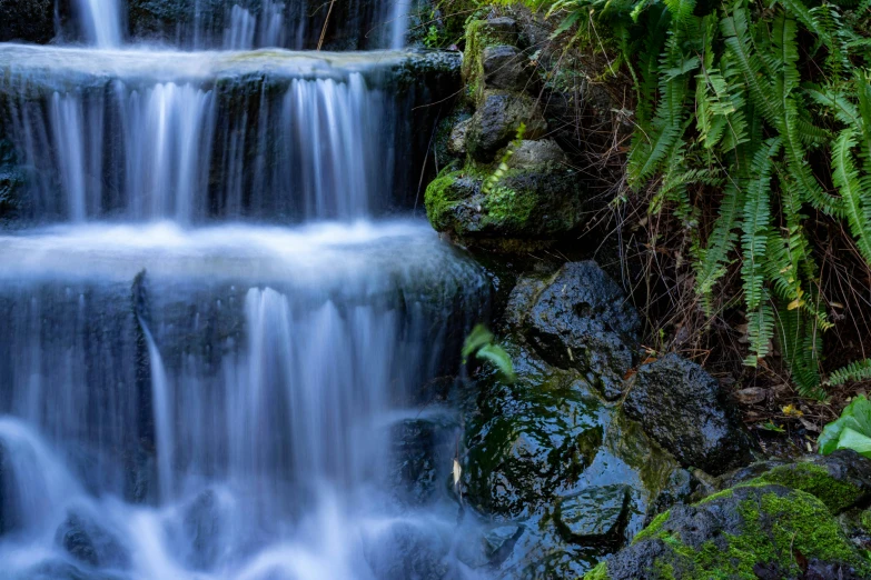 a waterfall in the middle of a lush green forest, an album cover, unsplash, hurufiyya, tree ferns, water flowing through the sewer, thumbnail, shot on sony a 7 iii