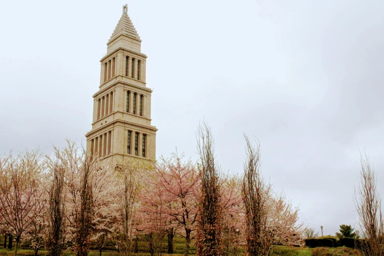 a tall clock tower towering over a lush green field, by Washington Allston, unsplash, romanesque, cherry blossom trees, 2022 photograph, brutalist buildings tower over, lead - covered spire