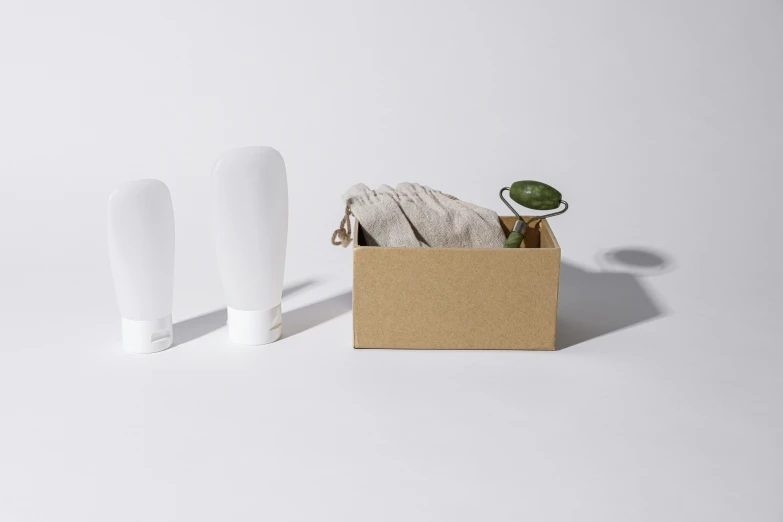 a couple of white vases sitting next to each other, by Eden Box, toy package, soft outdoor light, asset on grey background, plastic bottles