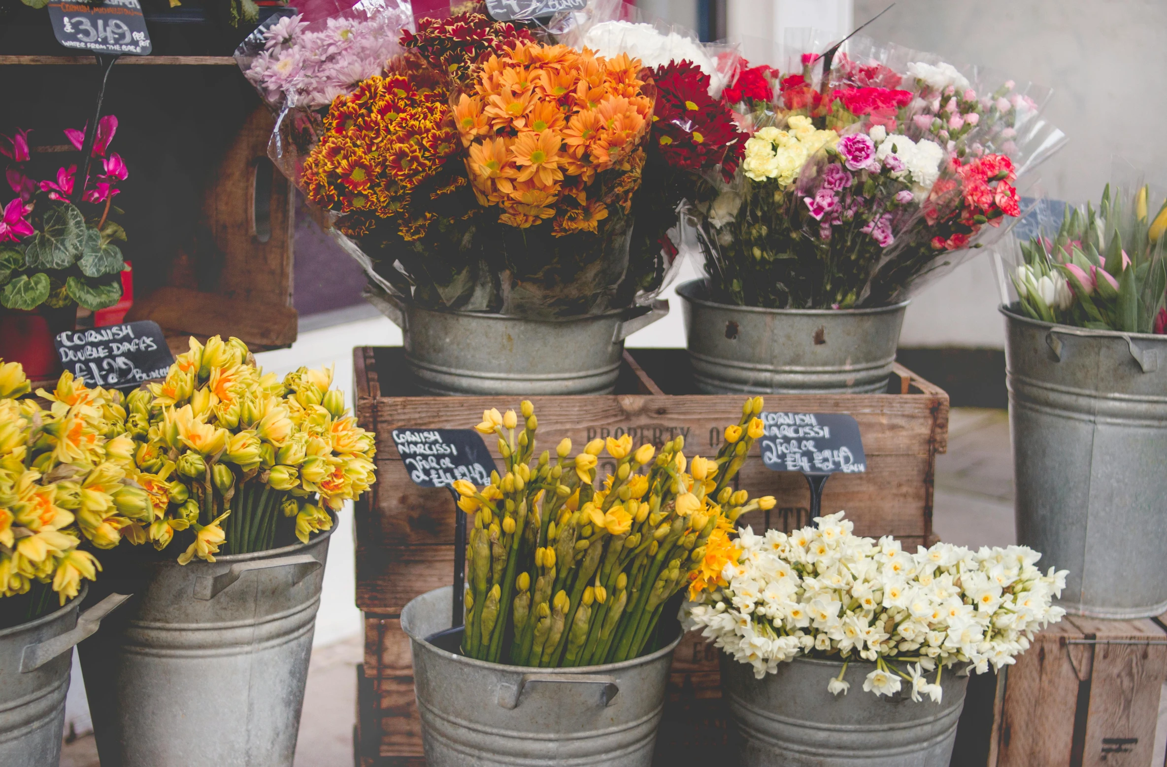 a bunch of buckets filled with different types of flowers, trending on unsplash, arts and crafts movement, marketplace, instagram photo
