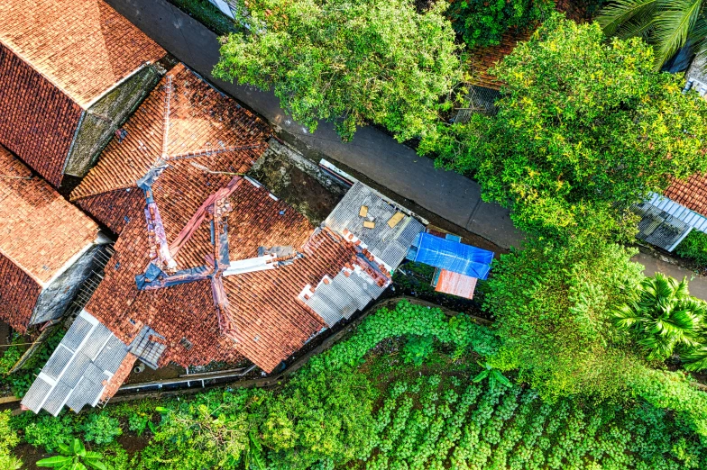 an aerial view of a house surrounded by trees, pexels contest winner, process art, city of armenia quindio, tiled roofs, building cover with plant, thumbnail