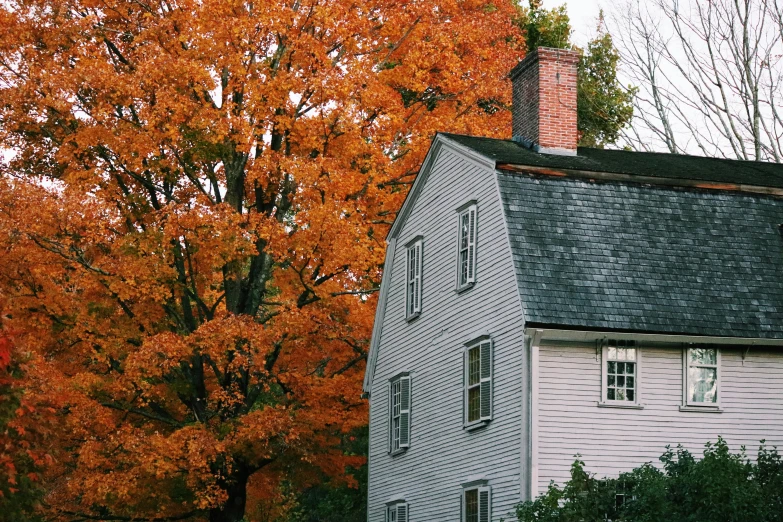 a white house with an orange tree in the background, pexels contest winner, gambrel roof building, muted fall colors, grey, side-view