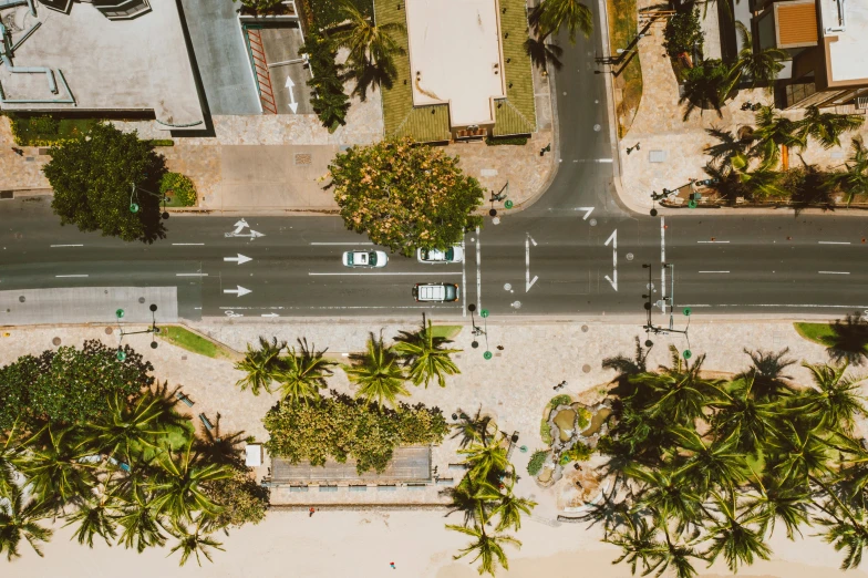 an aerial view of a street lined with palm trees, a screenshot, pexels contest winner, happening, beaches, intersection, thumbnail, kombi