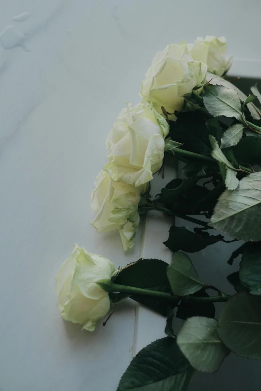 a bunch of white roses sitting on top of a table, a marble sculpture, inspired by Mihály Munkácsy, unsplash, sad men, detail shot, pale colors, casket