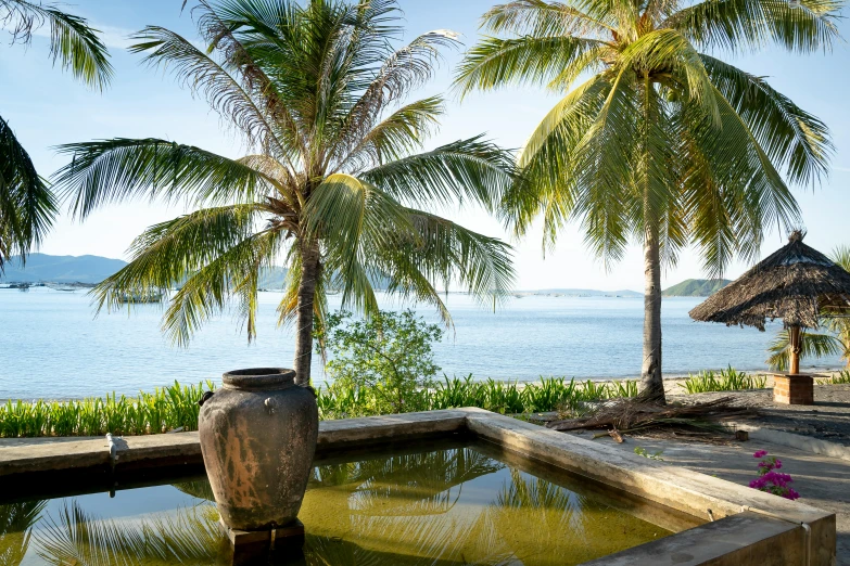 a water fountain surrounded by palm trees next to a body of water, inspired by Gaugin, unsplash, visual art, vietnam, views to the ocean, john pawson, islands