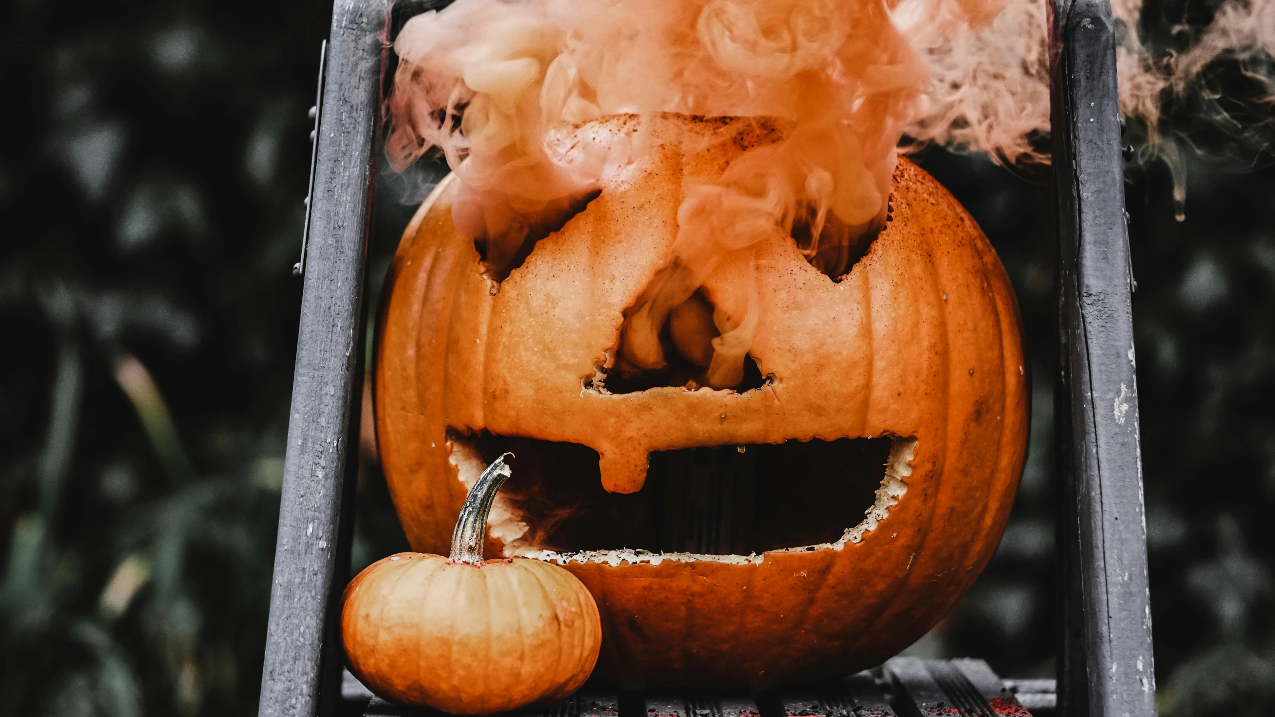 a halloween pumpkin with smoke coming out of it, pexels contest winner, 🦩🪐🐞👩🏻🦳, veins popping out, pot, hilarious