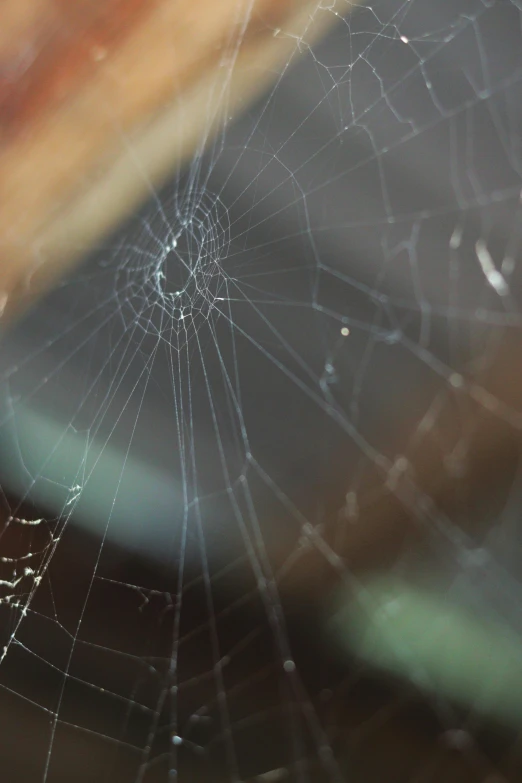 a spider sitting on top of a spider web, by Ryan Pancoast, unsplash, renaissance, close-up print of fractured, transparent glass surfaces, 4 k film still, ilustration