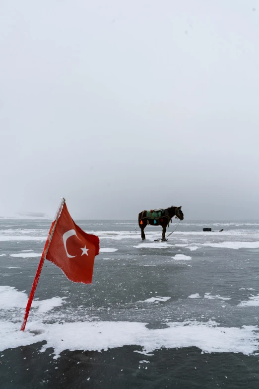 a horse that is standing in the snow, by Muggur, hurufiyya, in the middle of a lake, military flags, turkey, ice fish shape