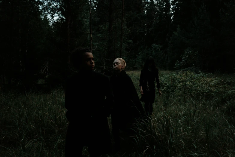 a group of people standing next to each other in a forest, an album cover, by Attila Meszlenyi, pexels contest winner, antipodeans, black metal album cover, late summer evening, similar to malfoy, group of people in a dark room