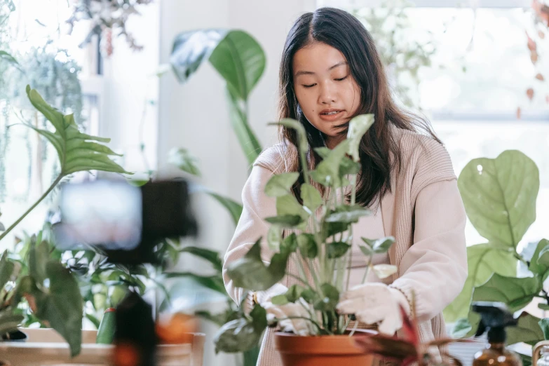 a woman sitting at a table with a potted plant, pexels contest winner, inspect in inventory image, louise zhang, covered in plants, sydney hanson