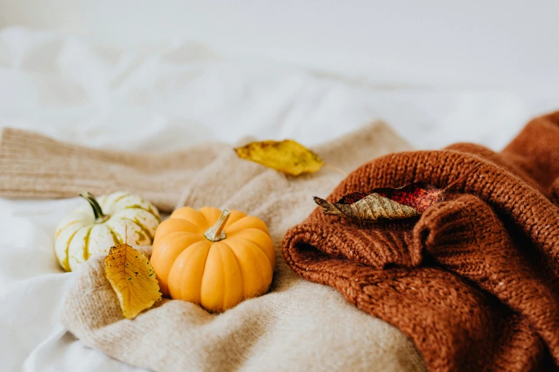 a blanket sitting on top of a bed next to two small pumpkins, a still life, trending on pexels, background image, brown sweater, snacks, brightly-lit